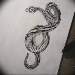 змея тату эскиз маленькая 14.08.2019 №012 - sketches small tattoo - tatufoto.com