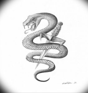 Черно-белый эскиз татуировки, изображающий змею, обвивающую кинжал. Рисунок выполнен в реалистичной манере с использованием детализированной штриховки.