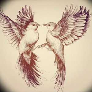 Эскиз татуировки с изображением двух птиц, обращенных друг к другу, с расправленными крыльями и переплетенными клювами.