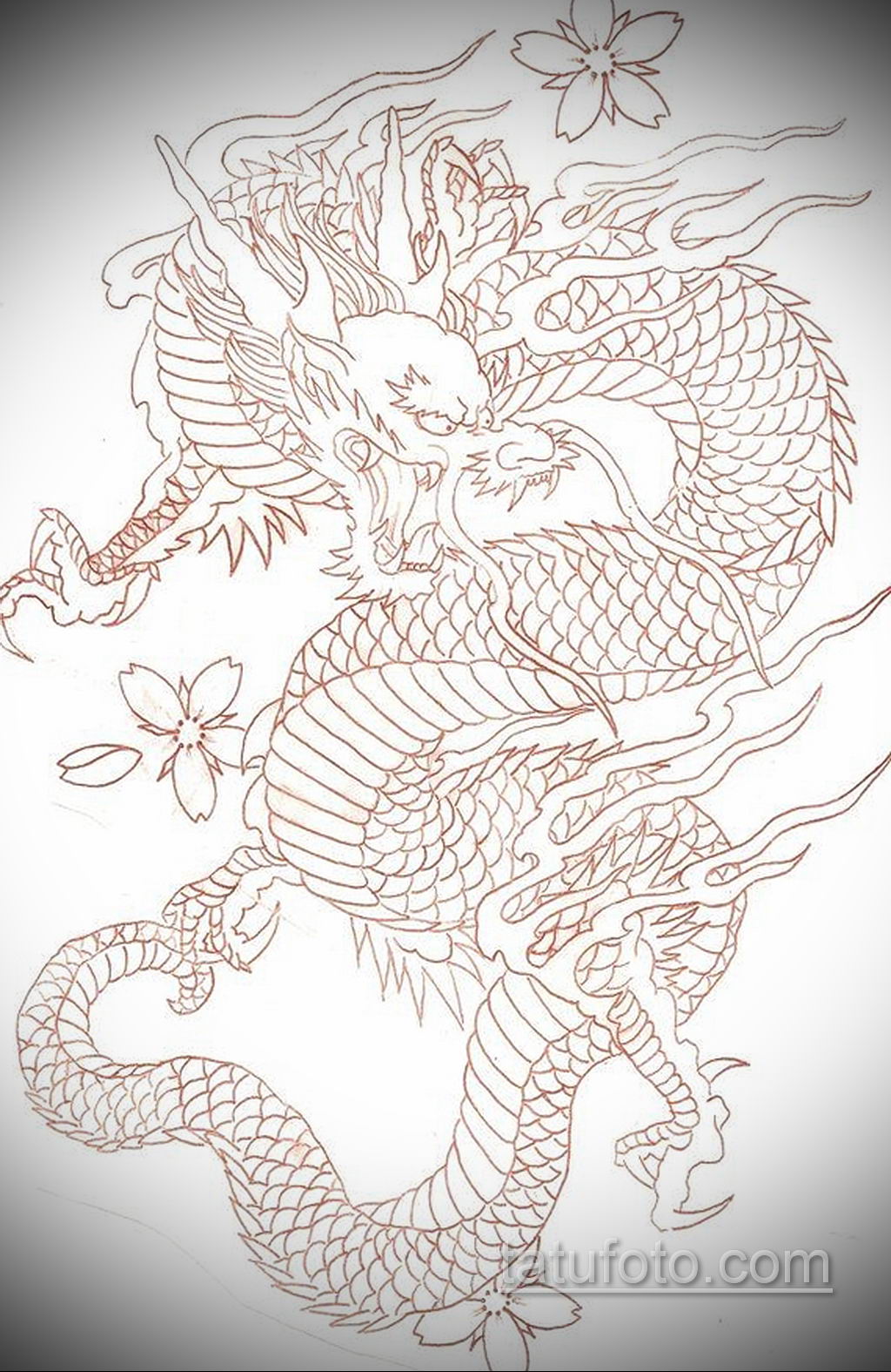 тату дракона женские эскиз 14.09.2019 № 010 - dragon tattoo female sketche ...