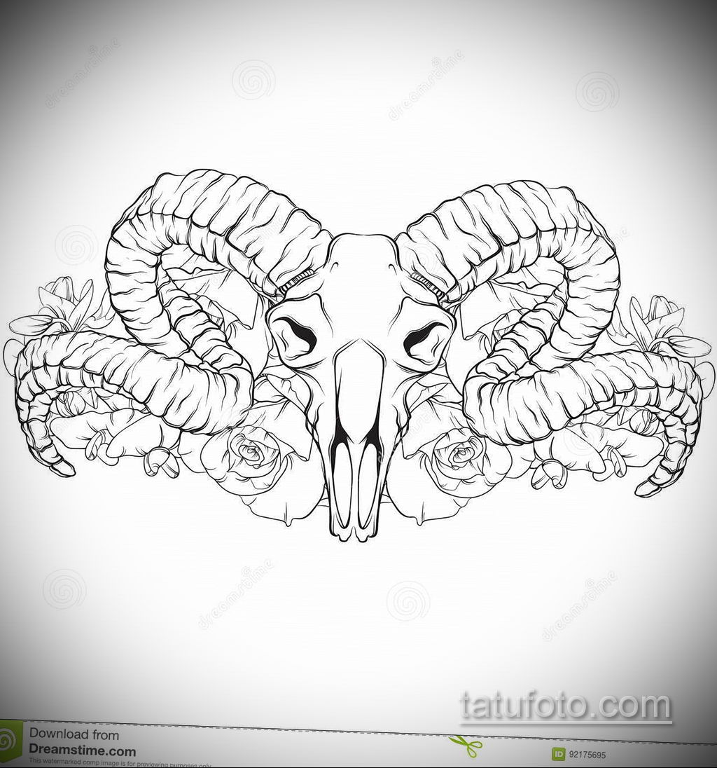 череп барана эскиз тату 17.09.2019 № 012 - ram skull sketch tattoo - tatufo...