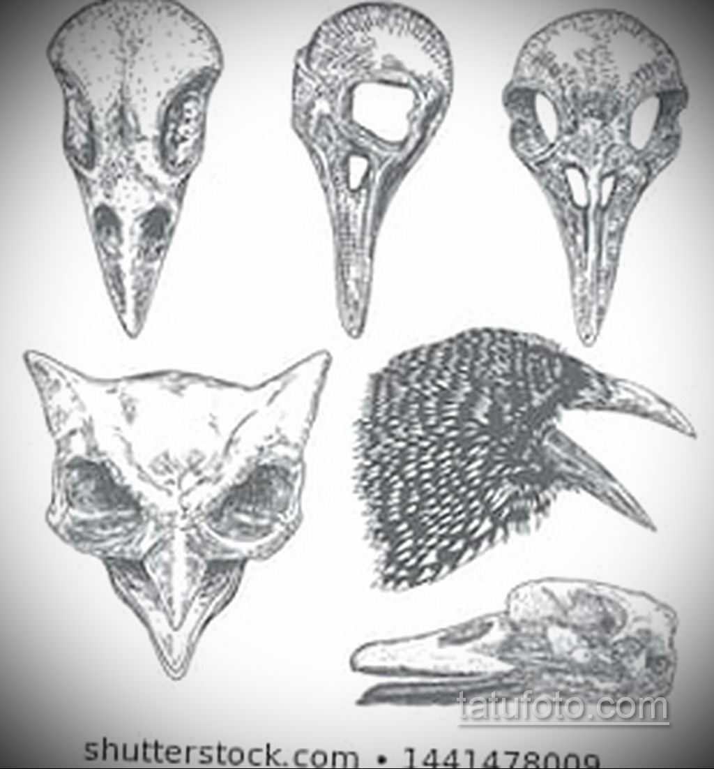 эскизы тату <b>череп</b> ворон 17.09.2019 № 028 - Raven <b>Skull</b> Tattoo Sketches - ta...