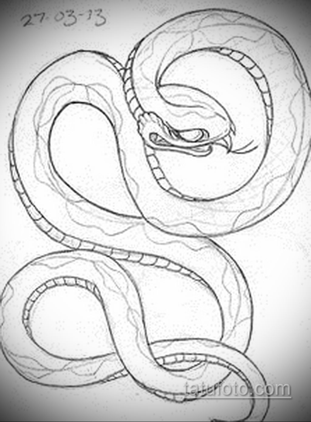 Легкий рисунок змей. Рисунок змеи. Змея карандашом. Рисунок змеи для срисовки. Рисунок змеи карандашом для начинающих.