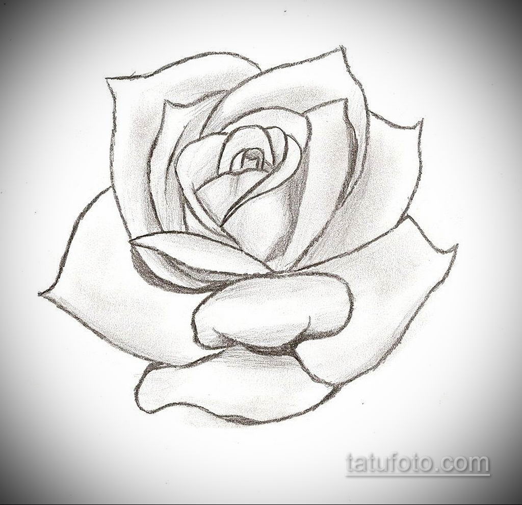 Легкий эскиз карандашом. Рисунки цветов для срисовки. Рози простым карандашом. Красивые и простые рисунки.
