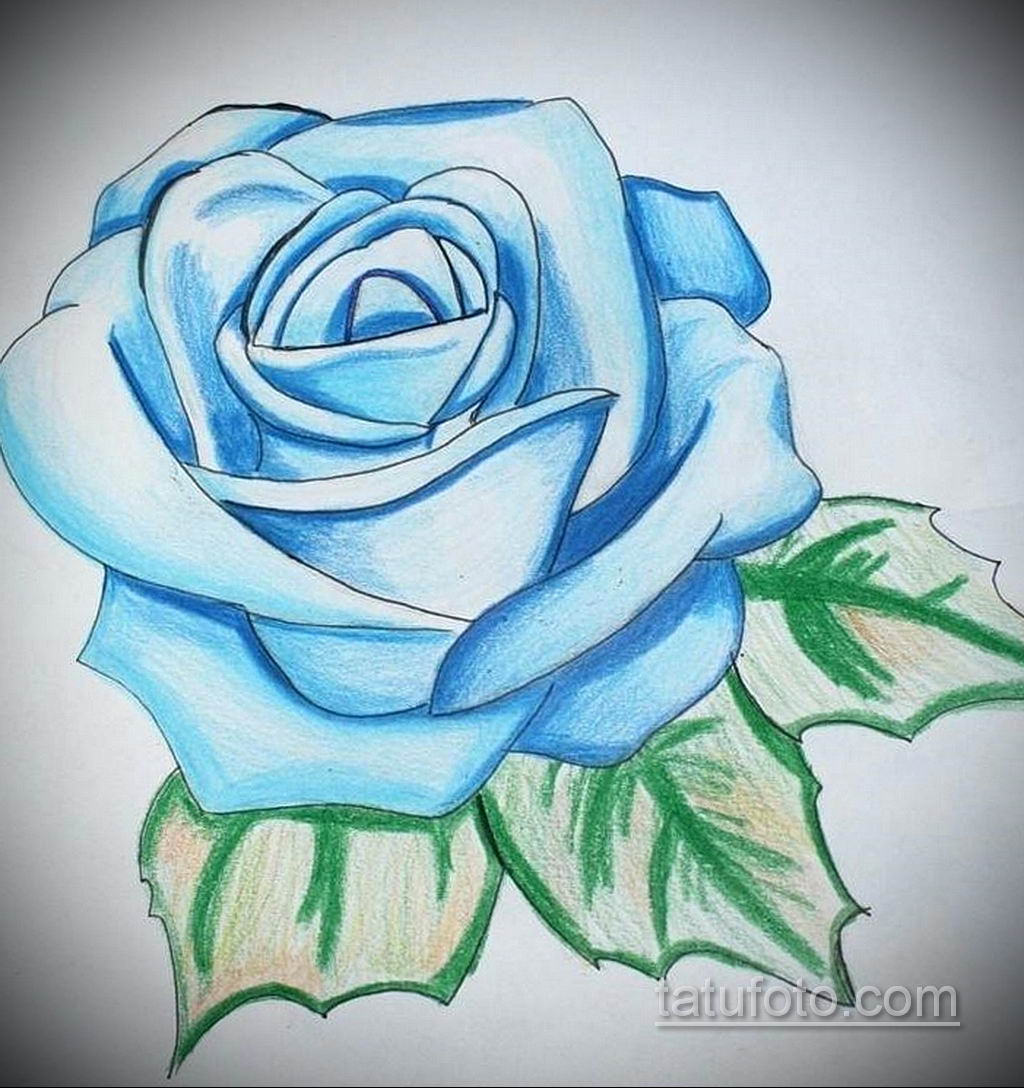 Как нарисовать синюю розу