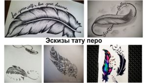 Коллаж из нескольких эскизов татуировок с изображением перьев, некоторые с надписями и узорами. Разнообразие стилей и дизайнов.