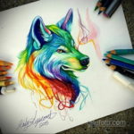 волк эскиз тату цветное 16.09.2019 №007 - wolf sketch tattoo color - tatufoto.com