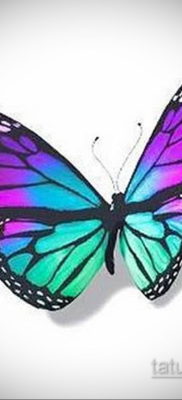 тату бабочки эскизы цветные 16.09.2019 №001 — butterfly tattoo sketches colo — tatufoto.com