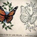 тату бабочки эскизы цветные 16.09.2019 №003 - butterfly tattoo sketches colo - tatufoto.com