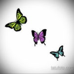 тату бабочки эскизы цветные 16.09.2019 №006 - butterfly tattoo sketches colo - tatufoto.com