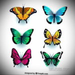 тату бабочки эскизы цветные 16.09.2019 №009 - butterfly tattoo sketches colo - tatufoto.com