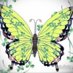 тату бабочки эскизы цветные 16.09.2019 №011 - butterfly tattoo sketches colo - tatufoto.com