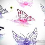 тату бабочки эскизы цветные 16.09.2019 №012 - butterfly tattoo sketches colo - tatufoto.com