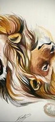 тату лев цветной эскизы 16.09.2019 №005 — lion tattoo color sketches — tatufoto.com