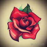 тату роза эскиз цветной 16.09.2019 №001 - tattoo rose sketch colored - tatufoto.com