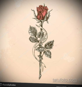 тату роза эскиз цветной 16.09.2019 №004 - tattoo rose sketch colored - tatufoto.com
