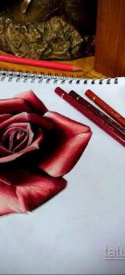 тату роза эскиз цветной 16.09.2019 №006 — tattoo rose sketch colored — tatufoto.com