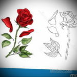 тату роза эскиз цветной 16.09.2019 №021 - tattoo rose sketch colored - tatufoto.com