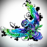 тату сова цветная эскиз 16.09.2019 №006 - owl tattoo color sketch - tatufoto.com