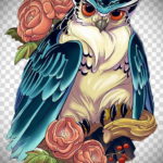 тату сова цветная эскиз 16.09.2019 №010 - owl tattoo color sketch - tatufoto.com