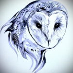 тату сова цветная эскиз 16.09.2019 №016 - owl tattoo color sketch - tatufoto.com