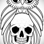 тату сова череп эскиз 17.09.2019 №003 - Owl tattoo skull sketch - tatufoto.com