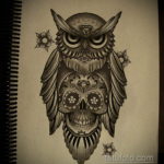 тату сова череп эскиз 17.09.2019 №006 - Owl tattoo skull sketch - tatufoto.com