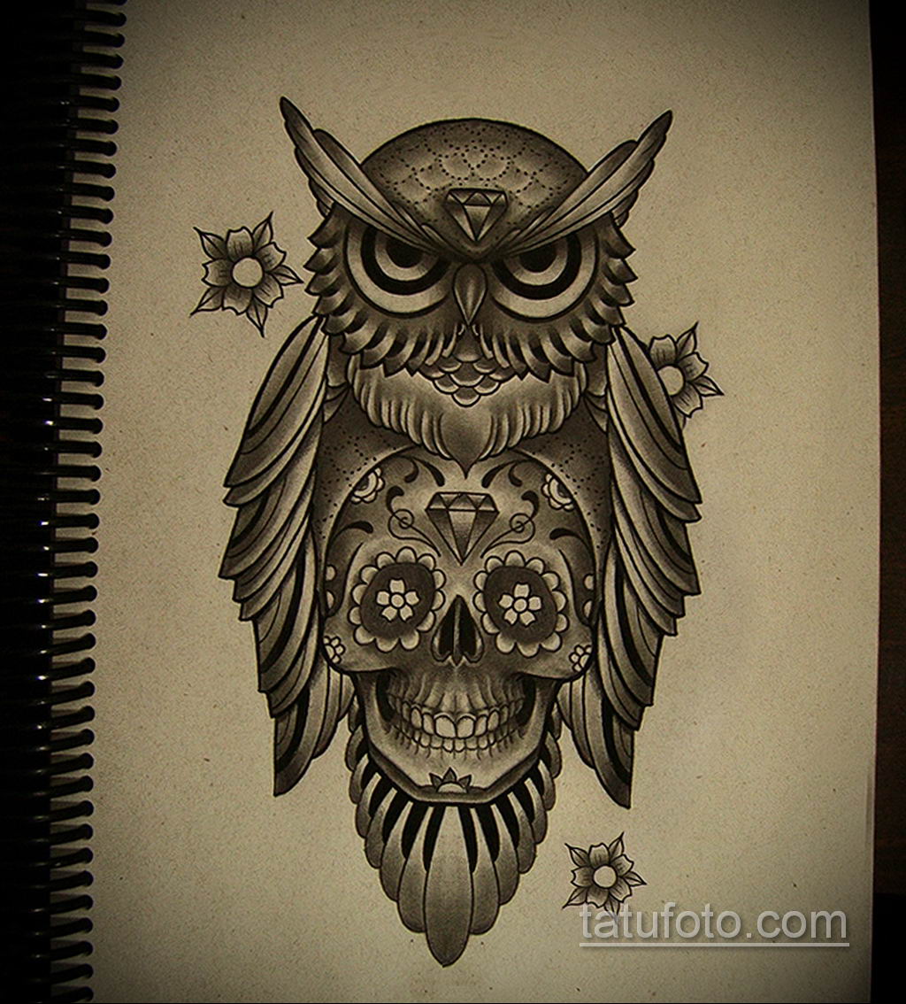 тату сова череп эскиз 17.09.2019 №006 - Owl tattoo skull sketch - tatufoto.com