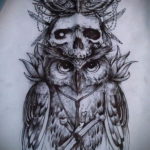 тату сова череп эскиз 17.09.2019 №010 - Owl tattoo skull sketch - tatufoto.com