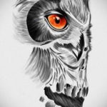 тату сова череп эскиз 17.09.2019 №013 - Owl tattoo skull sketch - tatufoto.com