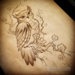 тату совы эскизы женские 14.09.2019 №009 - owl tattoo female sketches - tatufoto.com