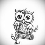 тату совы эскизы женские 14.09.2019 №027 - owl tattoo female sketches - tatufoto.com