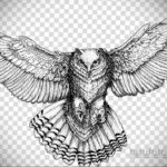 тату совы эскизы женские 14.09.2019 №030 - owl tattoo female sketches - tatufoto.com