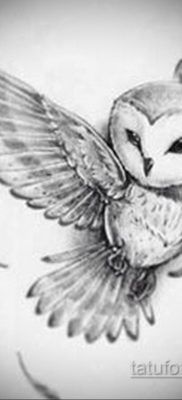 тату совы эскизы женские 14.09.2019 №041 — owl tattoo female sketches — tatufoto.com
