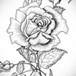 тату цветок женский эскиз 14.09.2019 №026 - tattoo flower female sketch - tatufoto.com