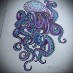 тату эскиз цветной осьминог 16.09.2019 №005 - tattoo sketch beautiful colore - tatufoto.com