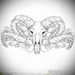 череп барана эскиз тату 17.09.2019 №012 - ram skull sketch tattoo - tatufoto.com