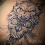 череп волка эскиз тату 17.09.2019 №002 - wolf skull sketch tattoo - tatufoto.com