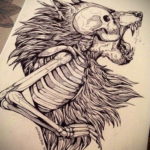 череп волка эскиз тату 17.09.2019 №010 - wolf skull sketch tattoo - tatufoto.com