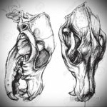 череп волка эскиз тату 17.09.2019 №028 - wolf skull sketch tattoo - tatufoto.com