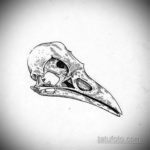 череп ворона эскиз тату 17.09.2019 №004 - sketch tattoo skull with roses - tatufoto.com