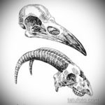череп ворона эскиз тату 17.09.2019 №023 - sketch tattoo skull with roses - tatufoto.com