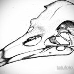 череп ворона эскиз тату 17.09.2019 №035 - sketch tattoo skull with roses - tatufoto.com
