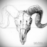 череп козла тату эскиз 17.09.2019 №002 - goat skull tattoo sketch - tatufoto.com