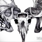 череп козла тату эскиз 17.09.2019 №009 - goat skull tattoo sketch - tatufoto.com