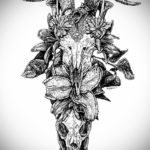 череп козла тату эскиз 17.09.2019 №011 - goat skull tattoo sketch - tatufoto.com