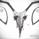 череп козла тату эскиз 17.09.2019 №019 - goat skull tattoo sketch - tatufoto.com