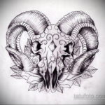 череп козла тату эскиз 17.09.2019 №023 - goat skull tattoo sketch - tatufoto.com