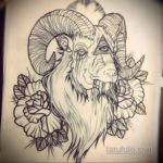 череп козла тату эскиз 17.09.2019 №026 - goat skull tattoo sketch - tatufoto.com