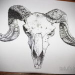 Рисунок черепа барана, выполненный в технике точечной графики (dotwork). Мрачный и детализированный эскиз тату с использованием множества точек.